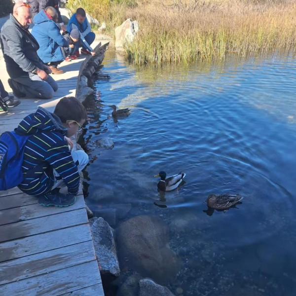 Výlet- Vysoké Tatry