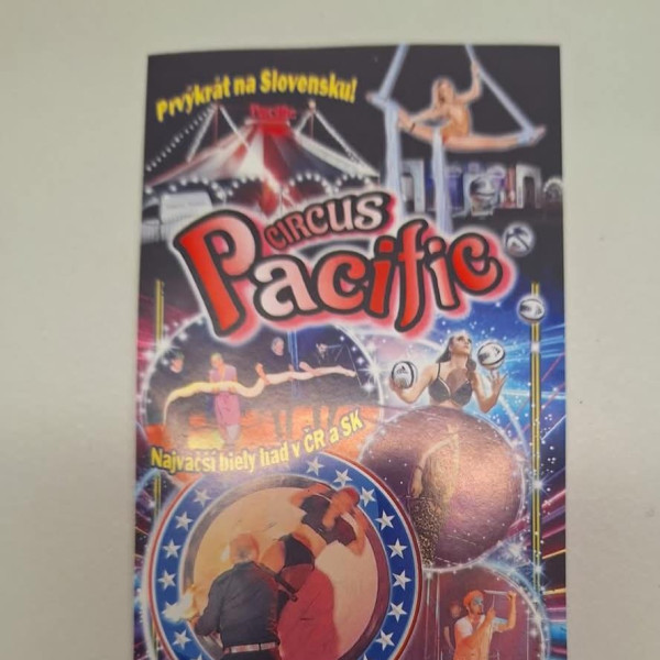 Rodina a jej podstata - výroba stromu života 